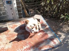 -磐安舞龙峡景区