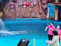 -烟台海昌鲸鲨海洋公园