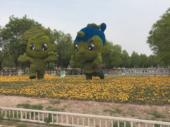 -武清南湖绿博园