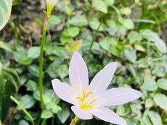 -大妙火锅·非物质文化遗产(东湖公园店)