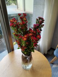 -痘博士昆明·国际祛痘领跑品牌