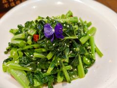 清炒板蓝根-青海名吃尕张娃非遗烤肉(海湖总店)