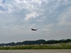 -空港花田景区