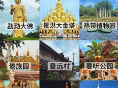 -西双版纳原始森林公园