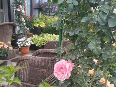 -昆山城市生态森林公园