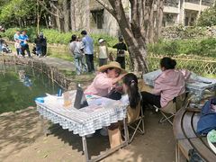 -乌村