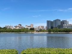 -莲花池公园