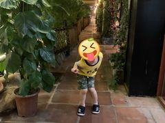 -鹅城