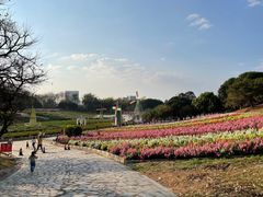 -松山湖梦幻百花洲