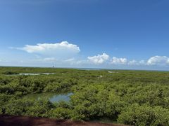 -北海金海湾红树林生态旅游区