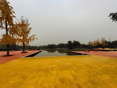 -西安浐灞国家湿地公园