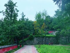 -阳台山自然风景区