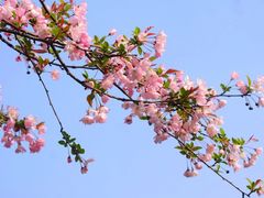 -滆湖低碳生态公园