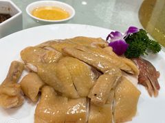 白切鸡-寻味顺德·南记酒家·传统顺德菜·鱼生(广源路店)