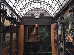 -南京明基医院
