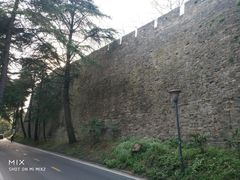 -紫金山天文台