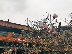 -圆通禅寺