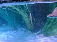 -沈阳海洋探索中心