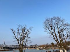 -上海长兴岛郊野公园