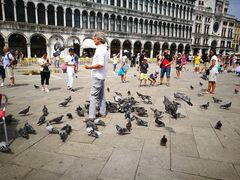 -圣马尔谷圣殿宗主教座堂