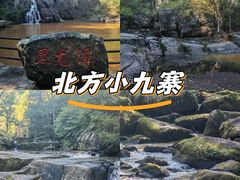 -茅兰沟国家森林公园