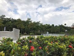 -大亚湾红树林城市湿地公园
