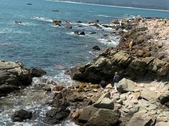 -西涌国际滨海旅游区