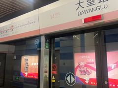 -大望路(地铁站)