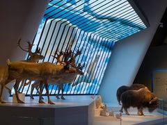 -贝林大翅鲸简餐厅(国家海洋博物馆店)