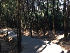 -火炉山森林公园