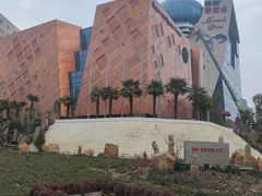 -上海微创医疗器械（集团）有限公司