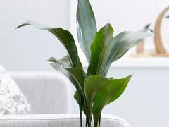 -研筑国际设计事务所(总店)