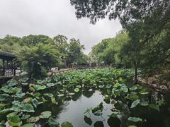 -东山风景区(洞庭东山)
