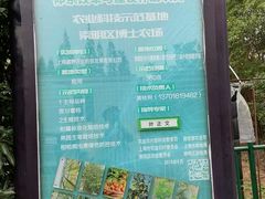 -前小桔亲子创意农场·草莓采摘·露营烧烤