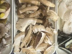 -菌之家·专业纯野生菌火锅·特色炒菌