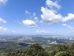 -黄埔油麻山森林公园