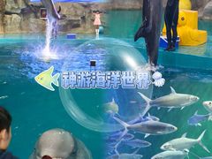 -威海华夏城景区