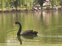 -东华大学(松江校区)