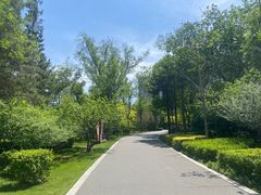 -迎泽公园