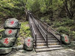 -茅兰沟国家森林公园