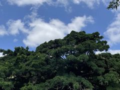 -梅州天地人花园酒店(梅县人民广场店)