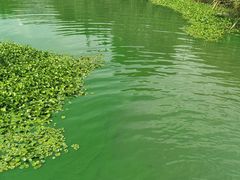 -美兰湖景区