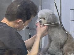 -PETKIT小佩宠物(古北店)