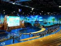 -华夏文旅海洋公园