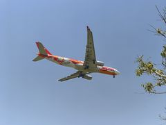 -空港花田景区