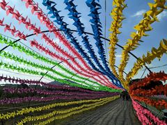 -田园东方蜜桃村的田野营地