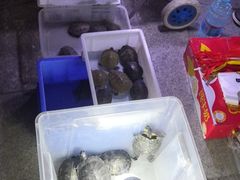 -华声天桥民俗文化园