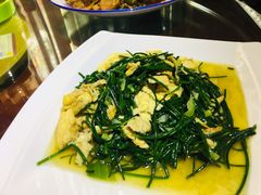 -范记靖远羊羔肉(博物馆店)