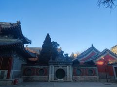 -北京艺术博物馆(万寿寺)