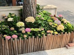 -睿柏云酒店-餐厅